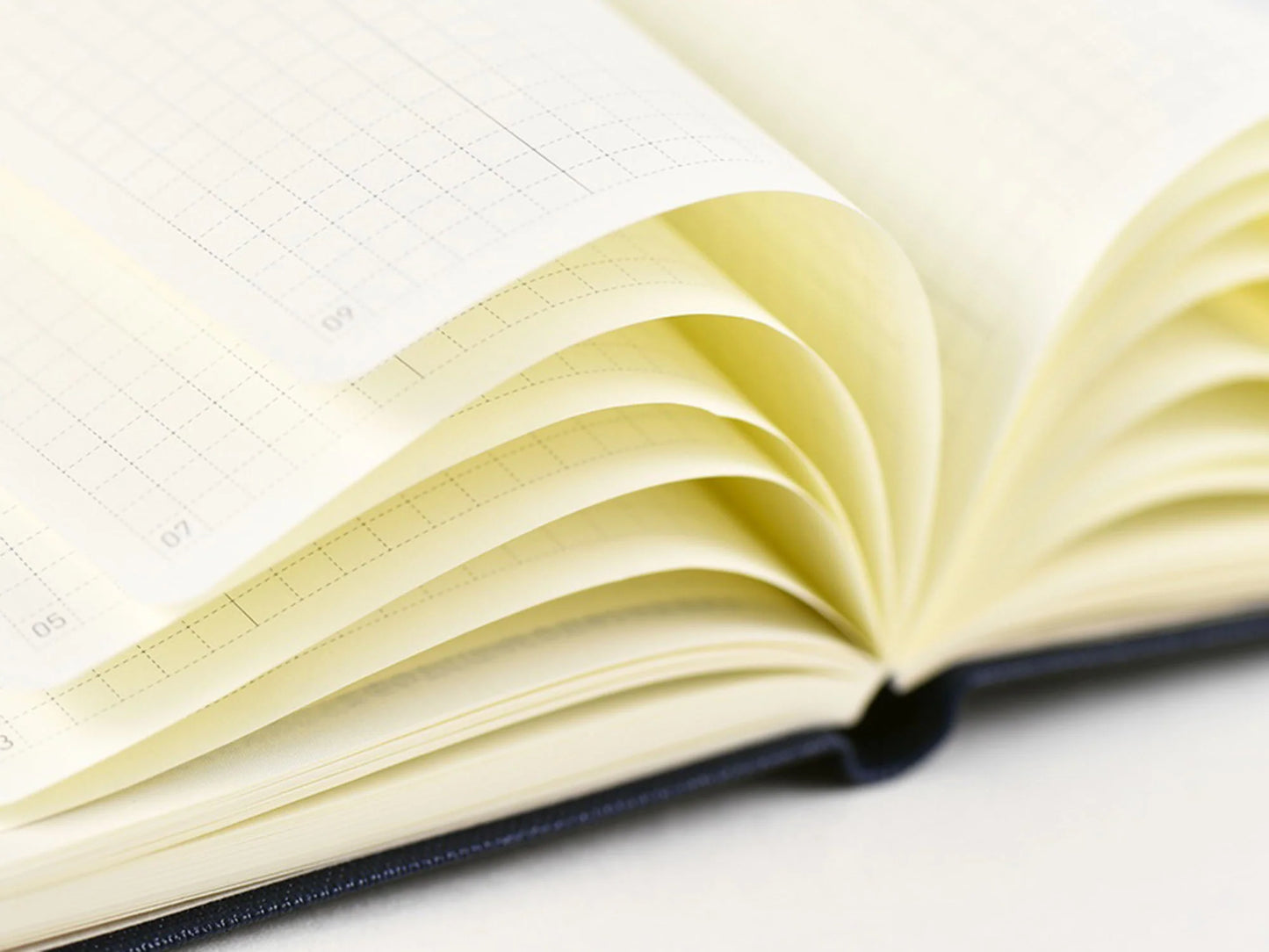 Hobonichi Techo 2026 - Bow & Tie: In the Forest